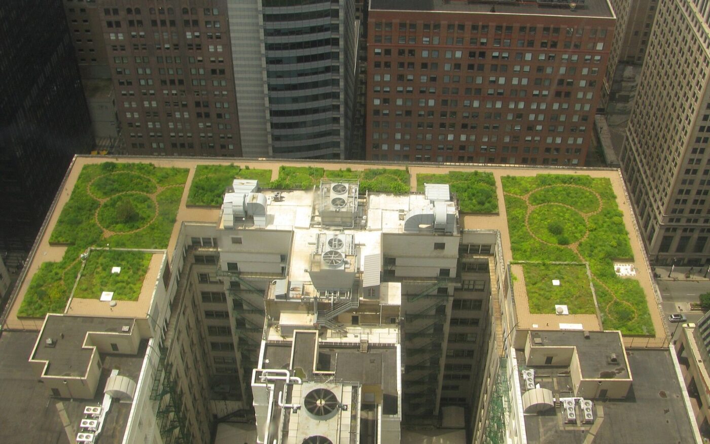 Green roof planting on a civic building