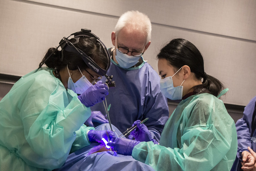 Hands-on surgical skills session