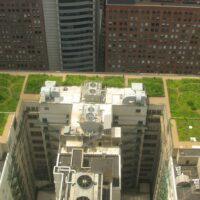 Green roof